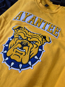 Big Ayantee (NCAT)